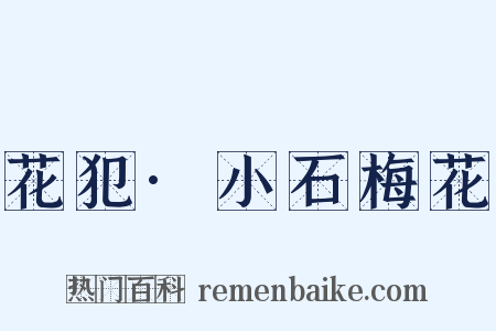 花犯·小石梅花是什么意思的图片